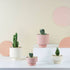 Angus & Celeste Collectors Gro Pot - White (Small) - Plantsmith | Indoor Plants Melbourne